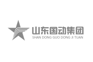山东国动集团